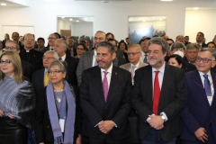 imagen29