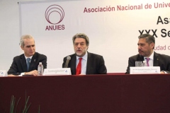 imagen4