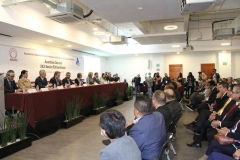 imagen8